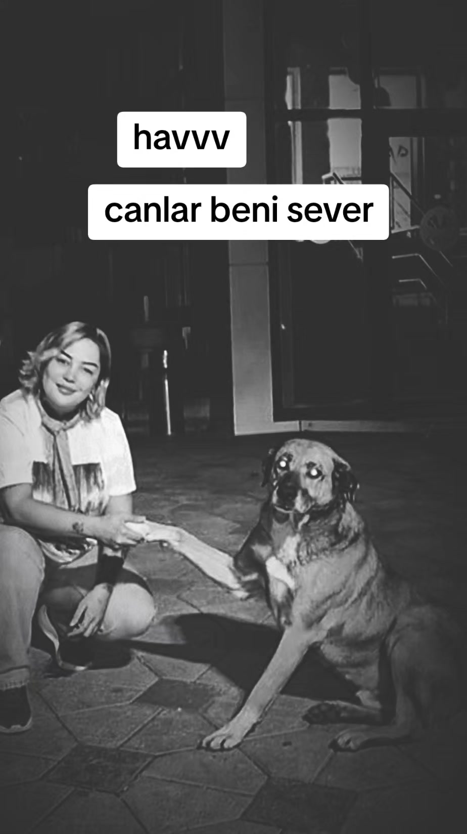 @Eylem