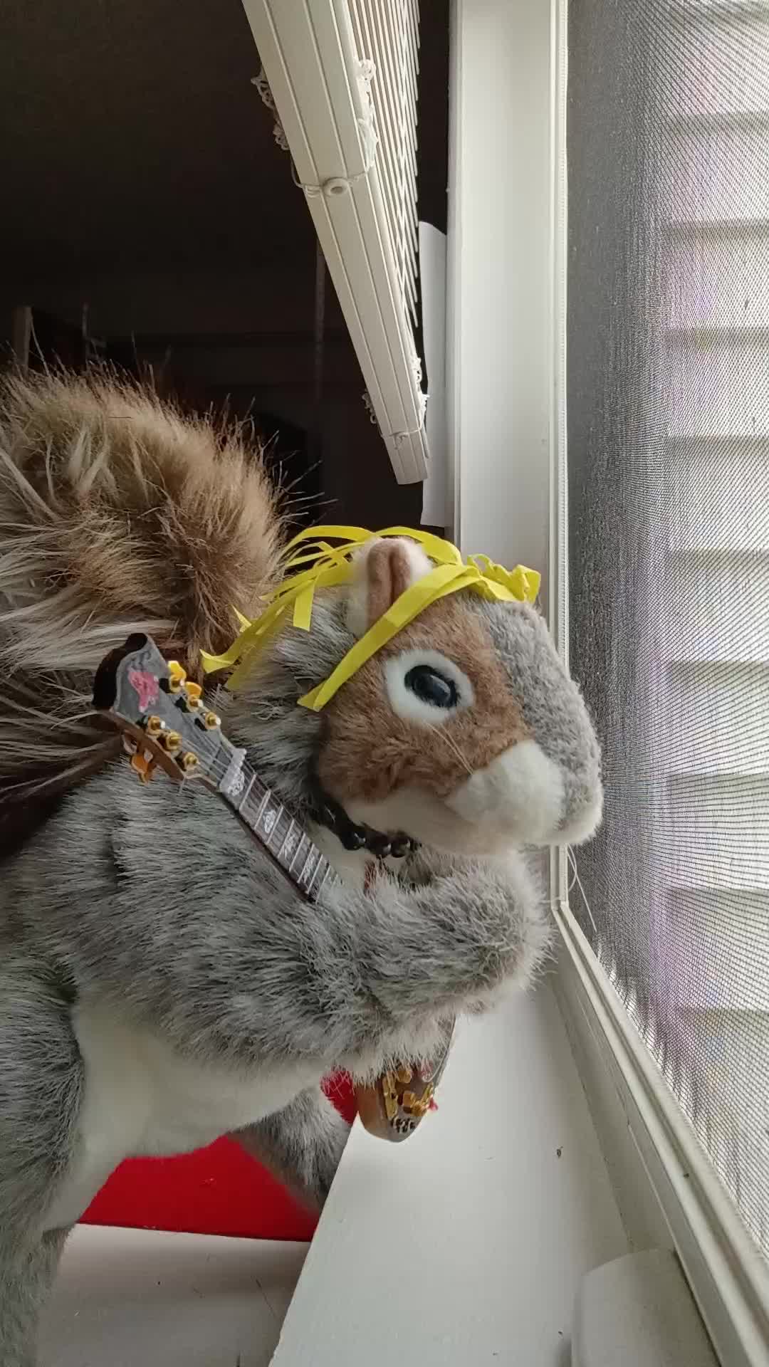 @Charles_TheSquirrel