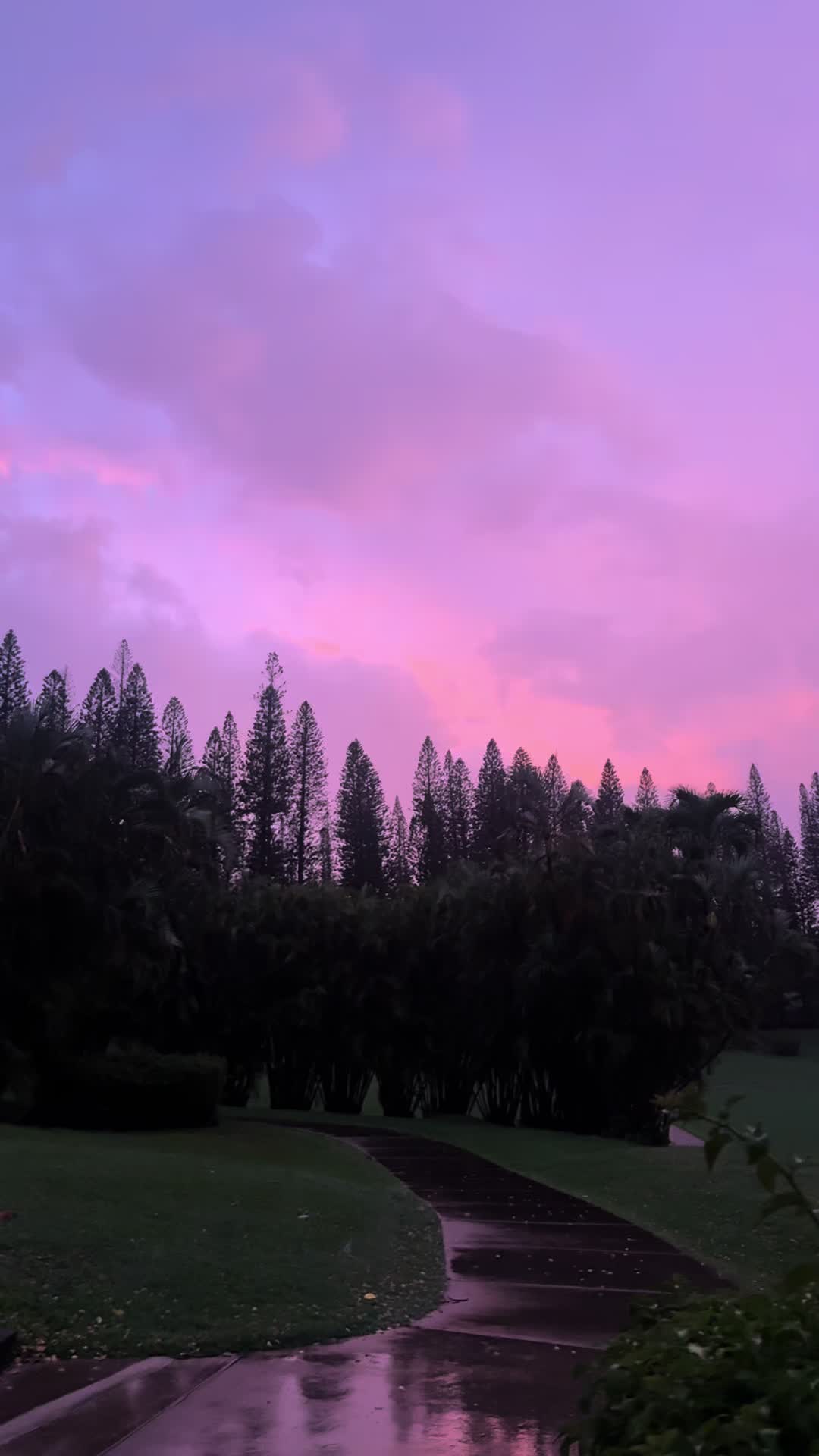 @Mauilani