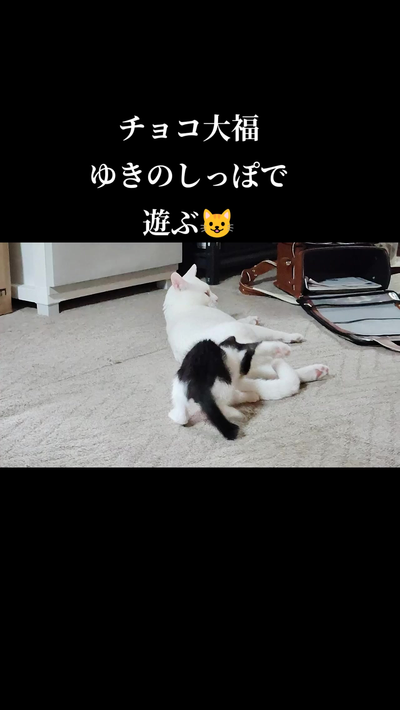 @遊喜