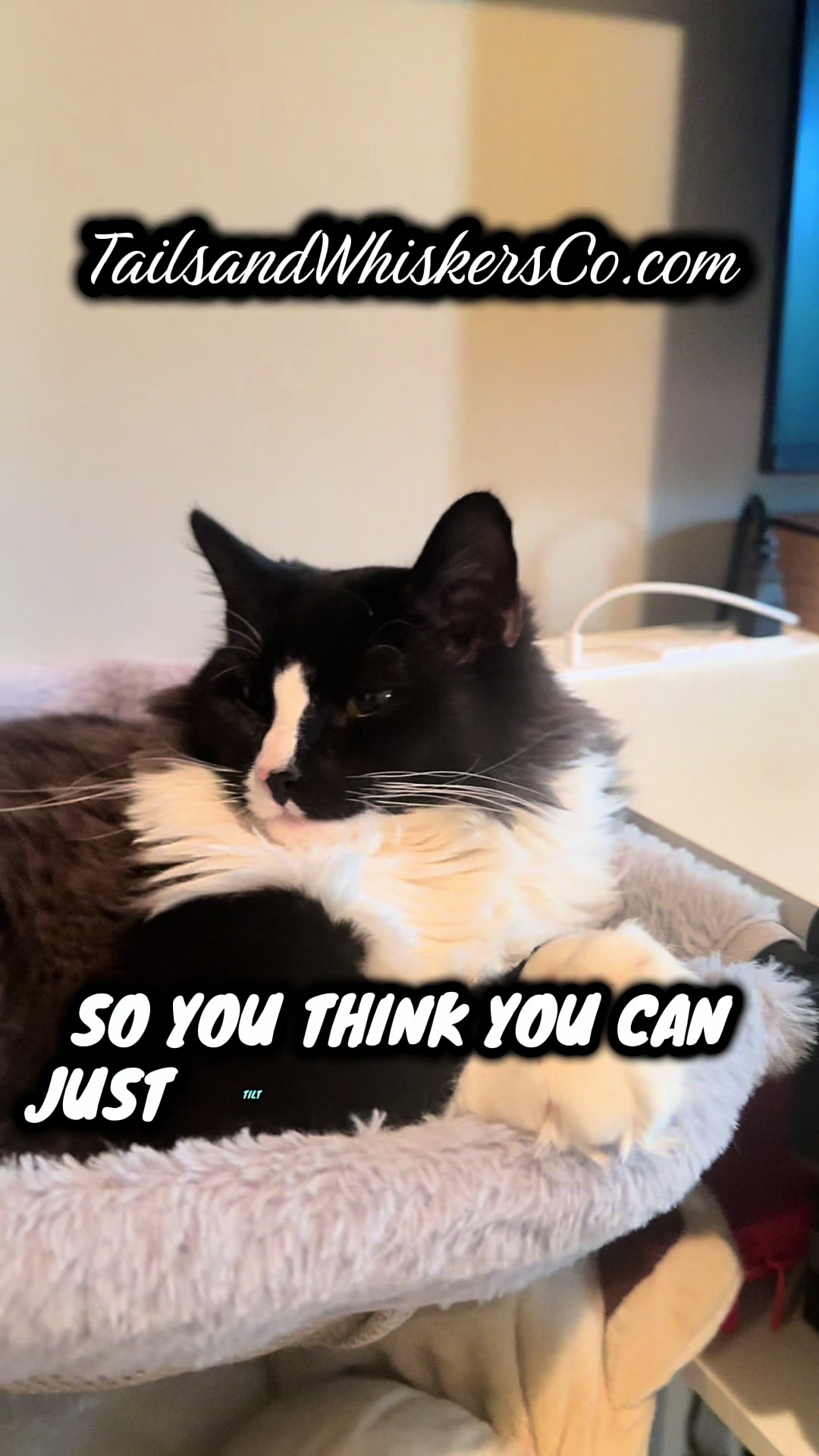 @TailsandWhiskersCo