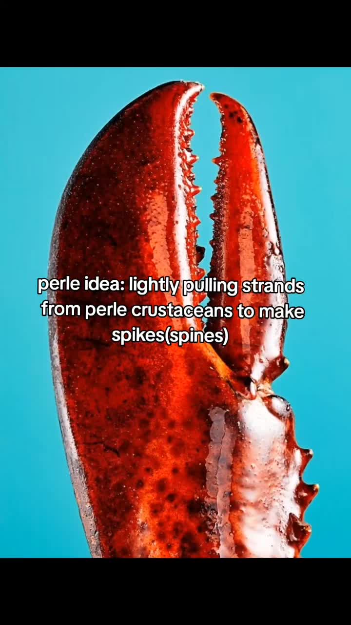 @AdamsPerlerCreations