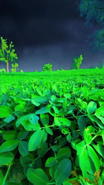 @๐ธ๐ซ๐ฆ๐ซ๐ฆ ุจููุช ู
ุญู
ุฏ๐ง๐ฆ