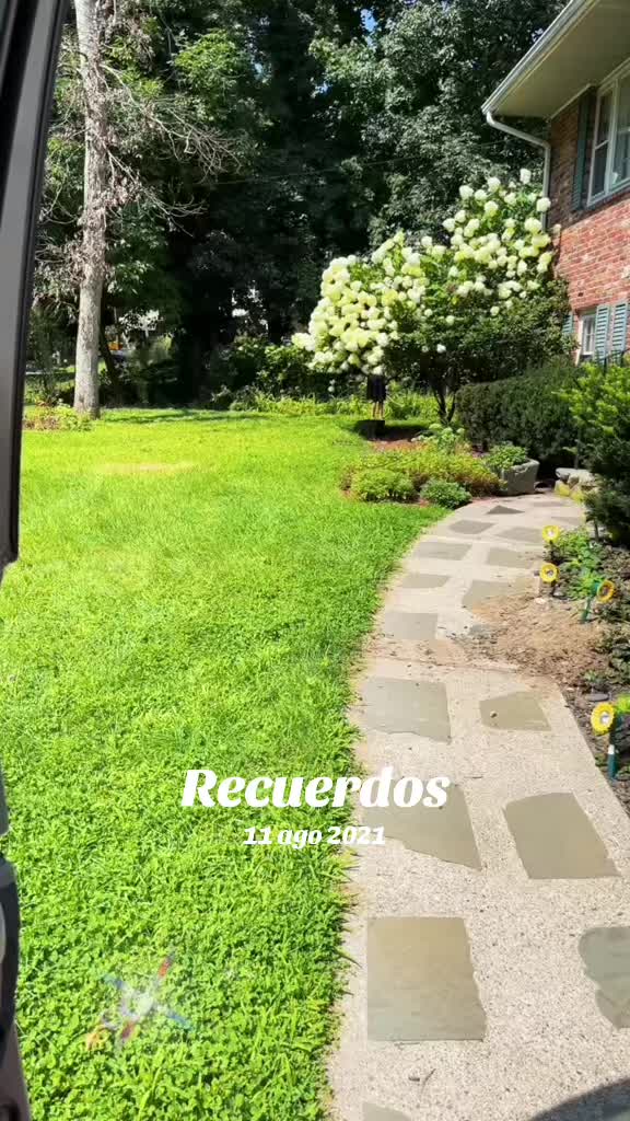 @javierfigueroa929
