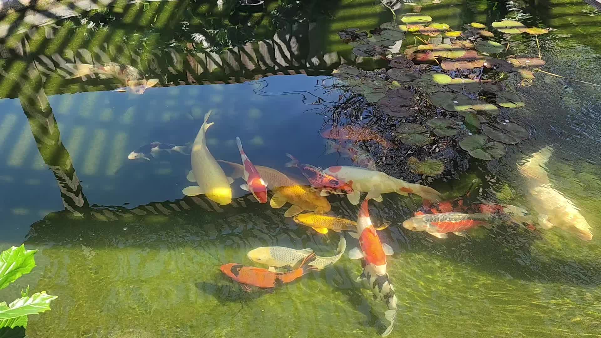 @Raja8000