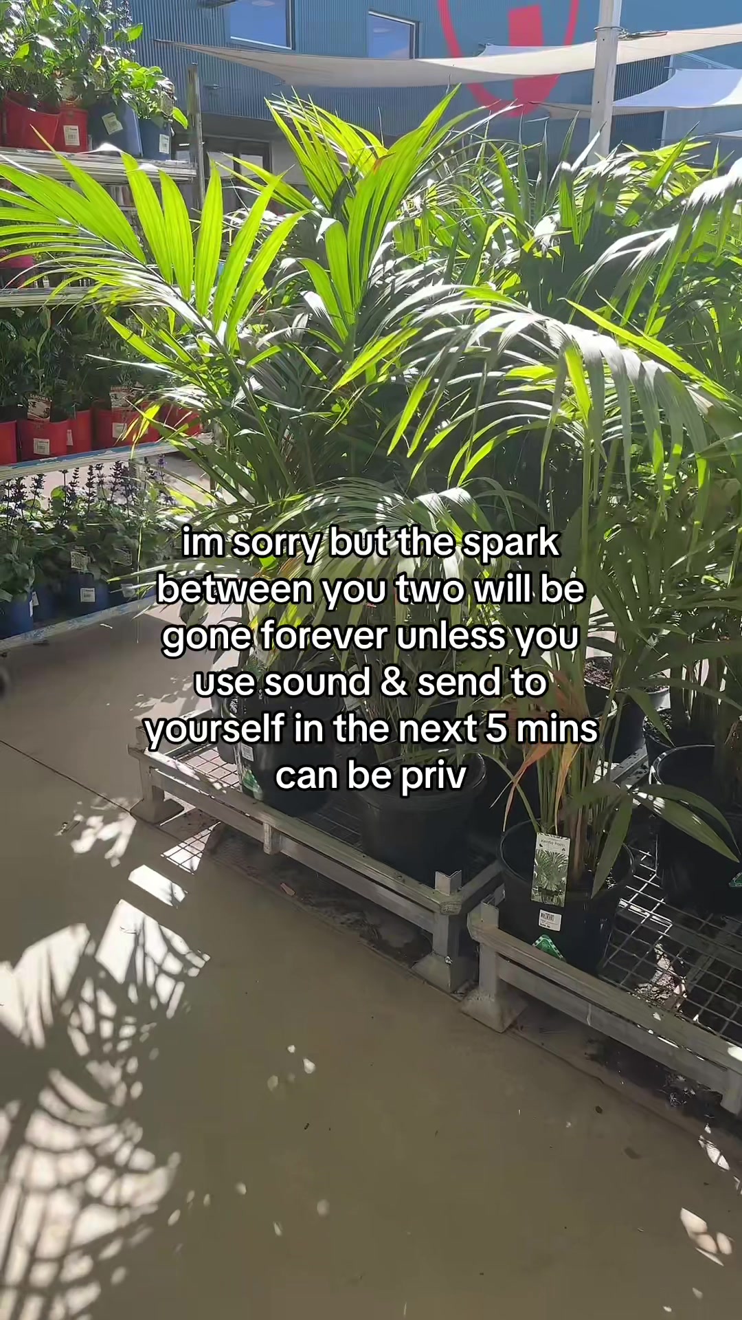 @Zaco Bro