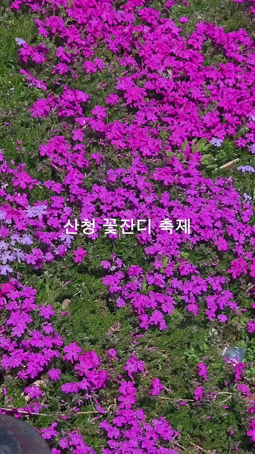 @오찬물