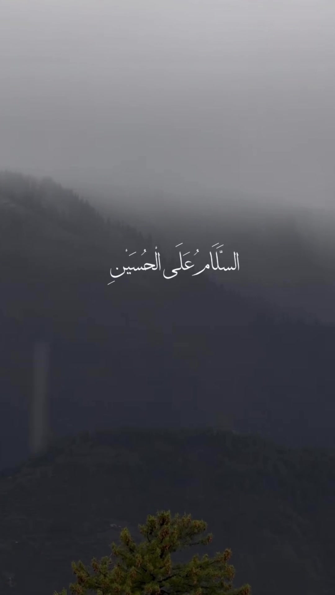 @🚩SYED