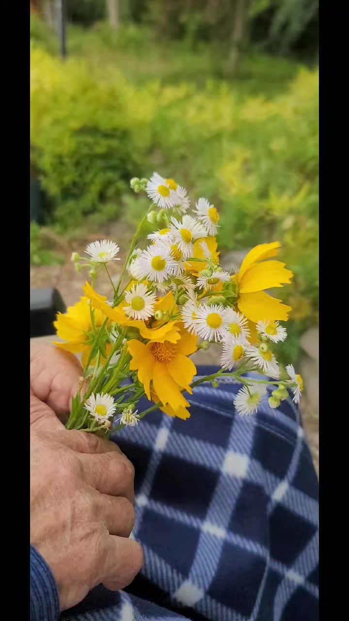 @soochoo💐🐬
