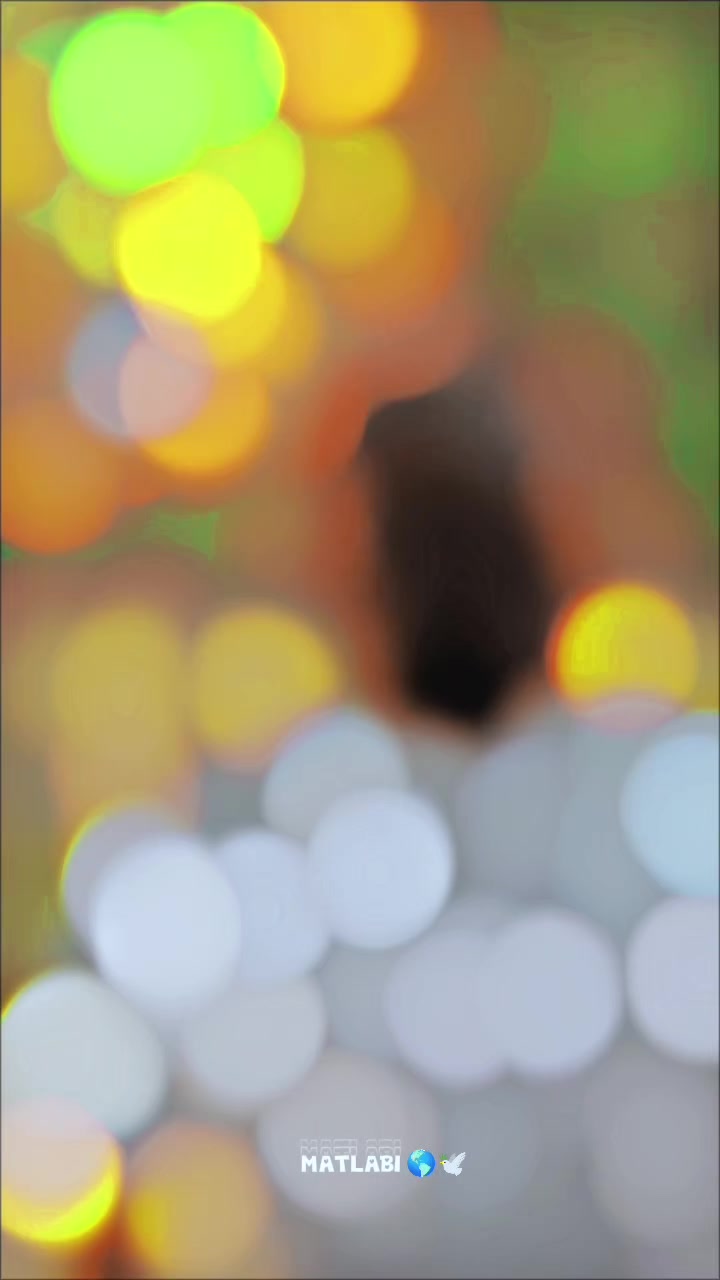 @S A M E E R A L I 7 8 6