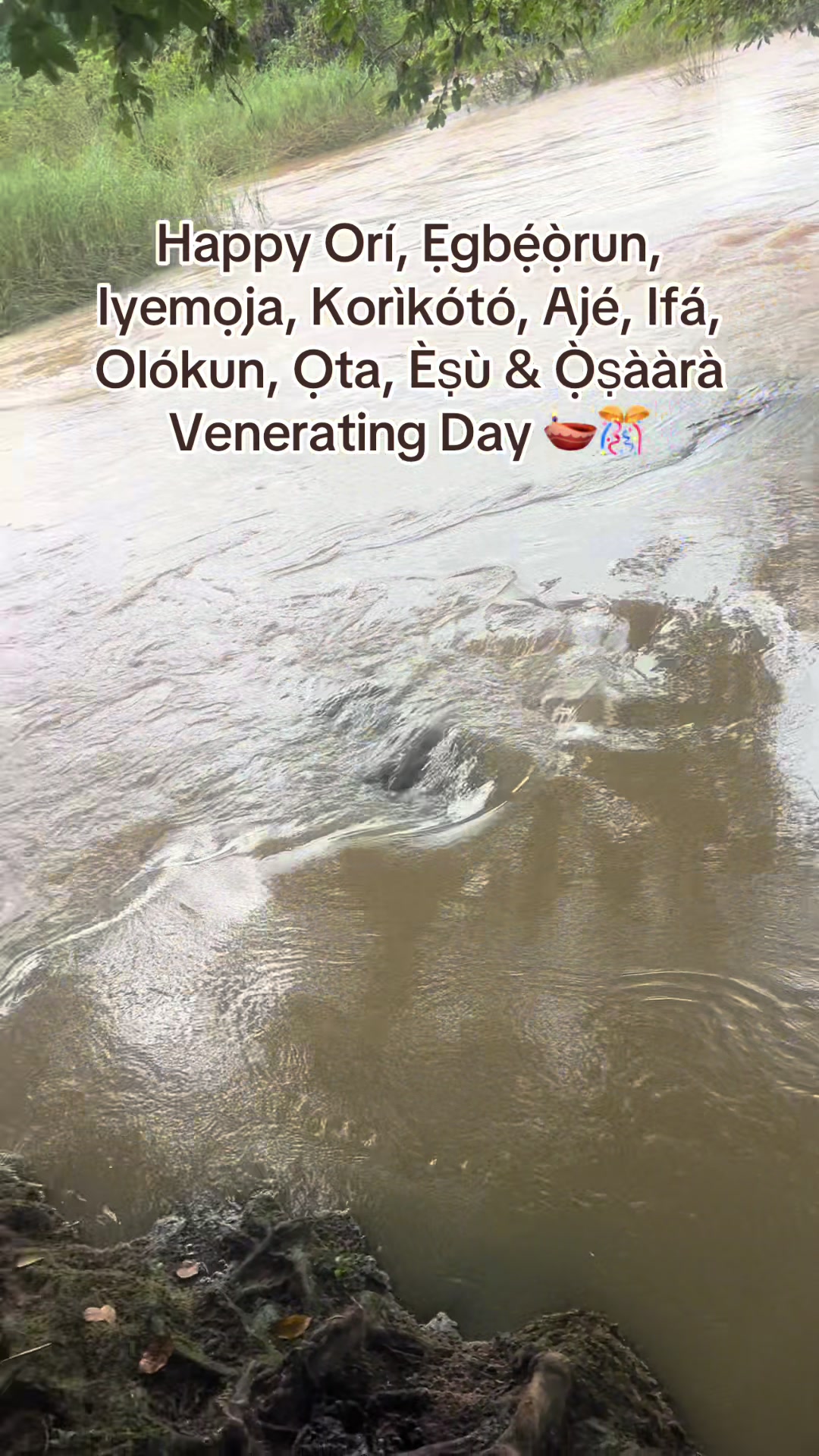 @🪞Onírúmọlẹ̀ TinuOkun 🪸🌊
