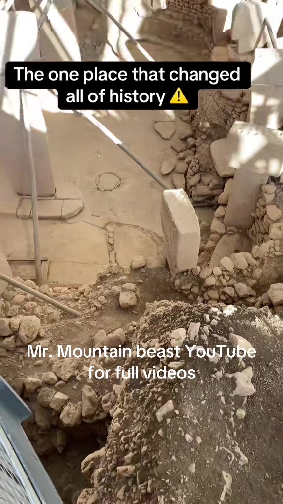 @Mr.mountainbeast