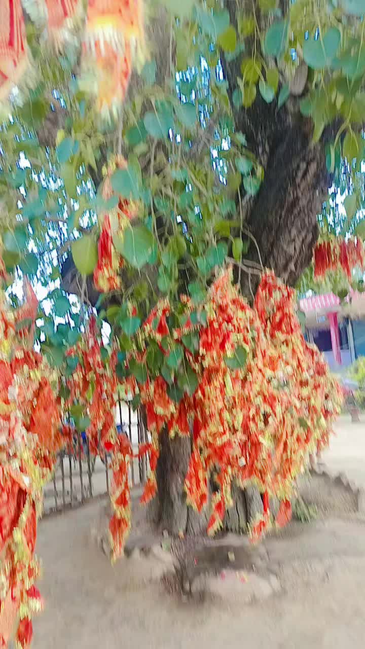 @binitasah586