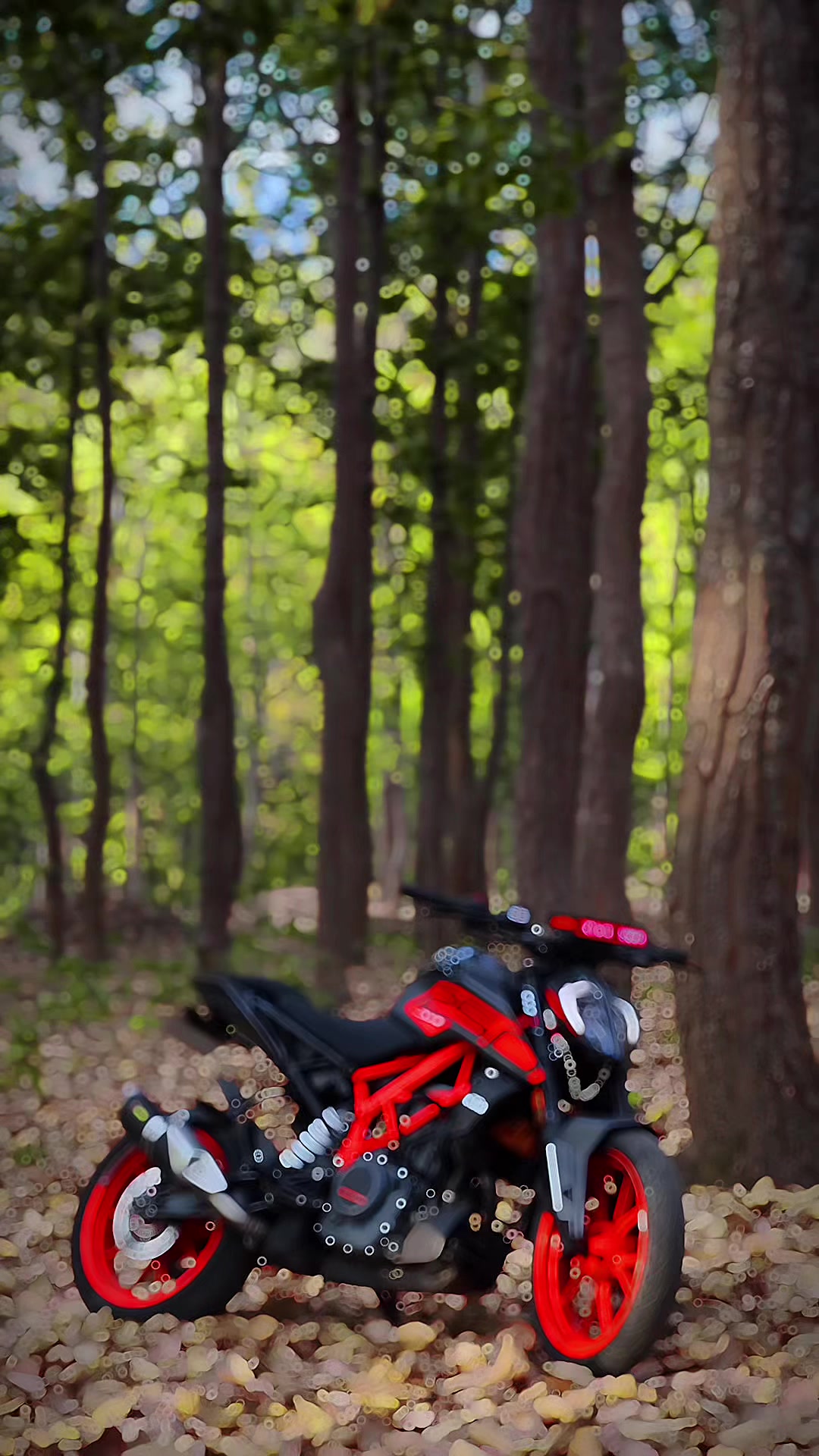 @ＴＯＲＱＵＥ_２５０ 💀