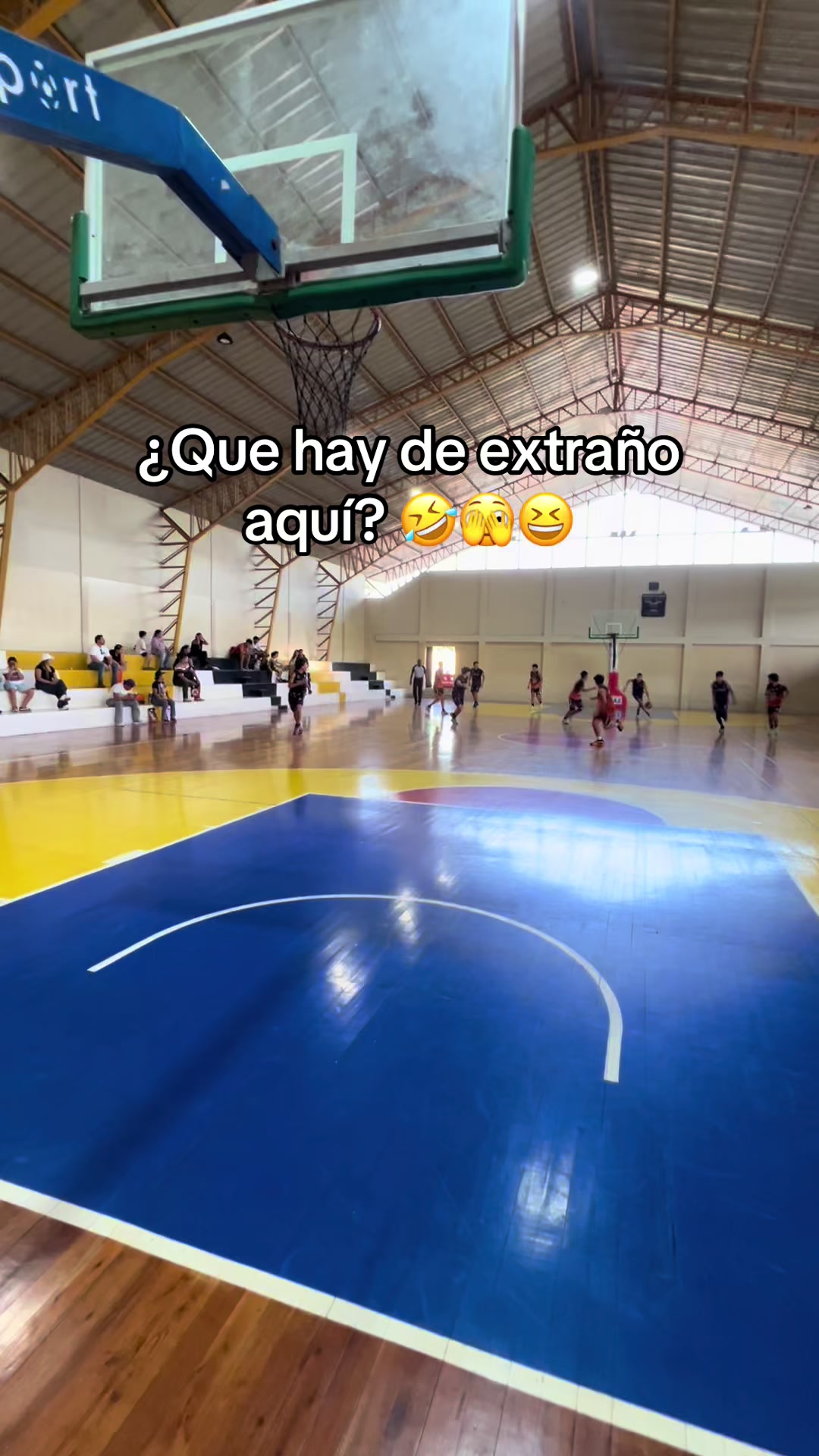 @PAZEBA🏀