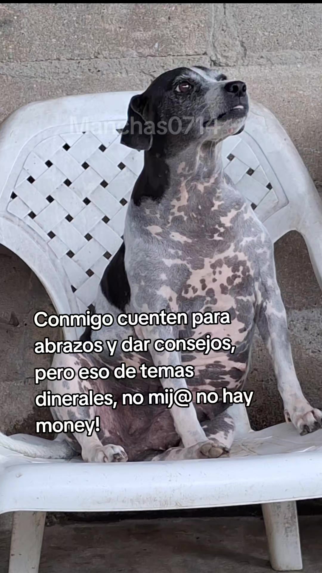 @MANCHAS 0714 OFICIAL