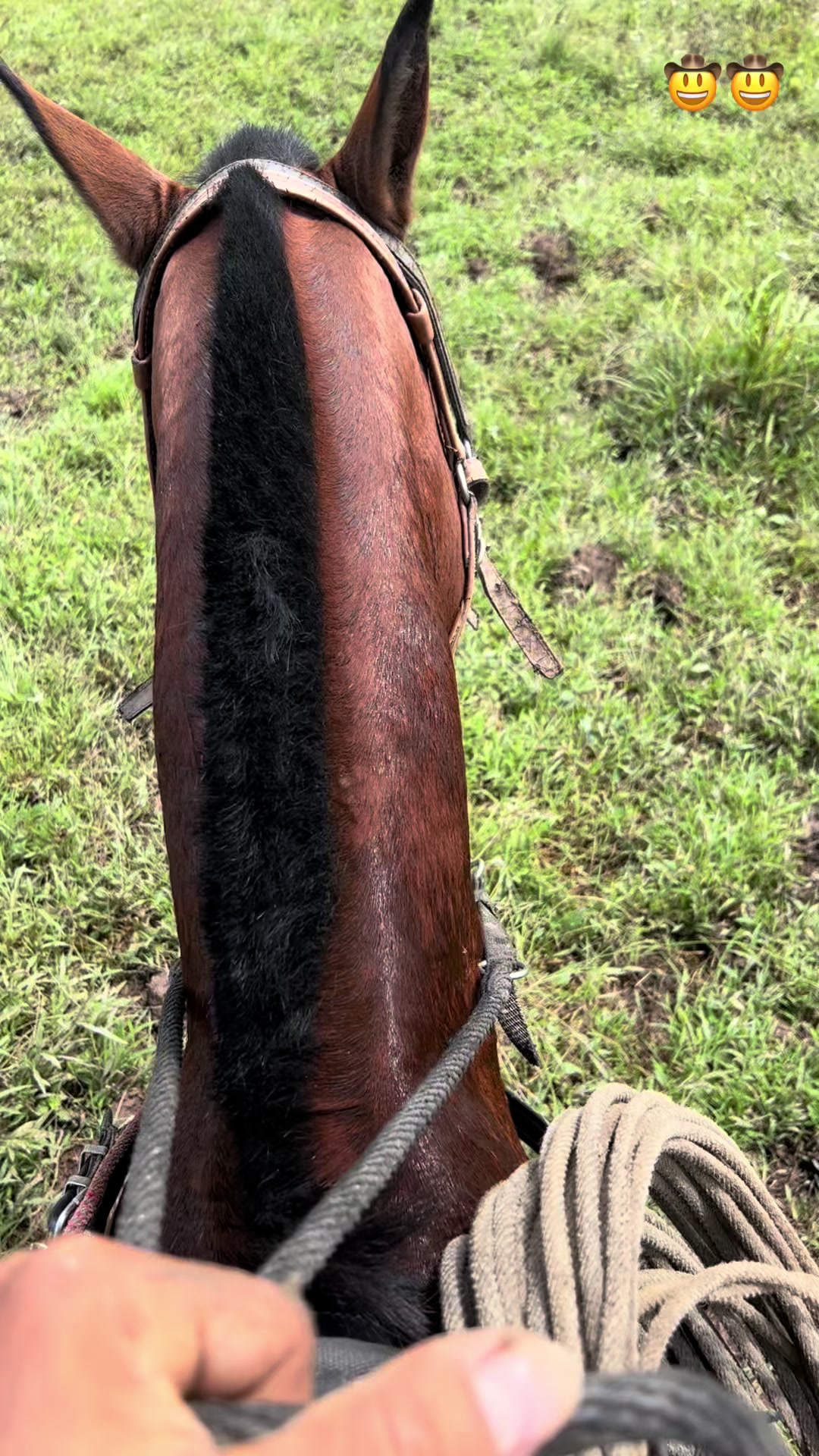 @ANDRES_CUENCA🤠