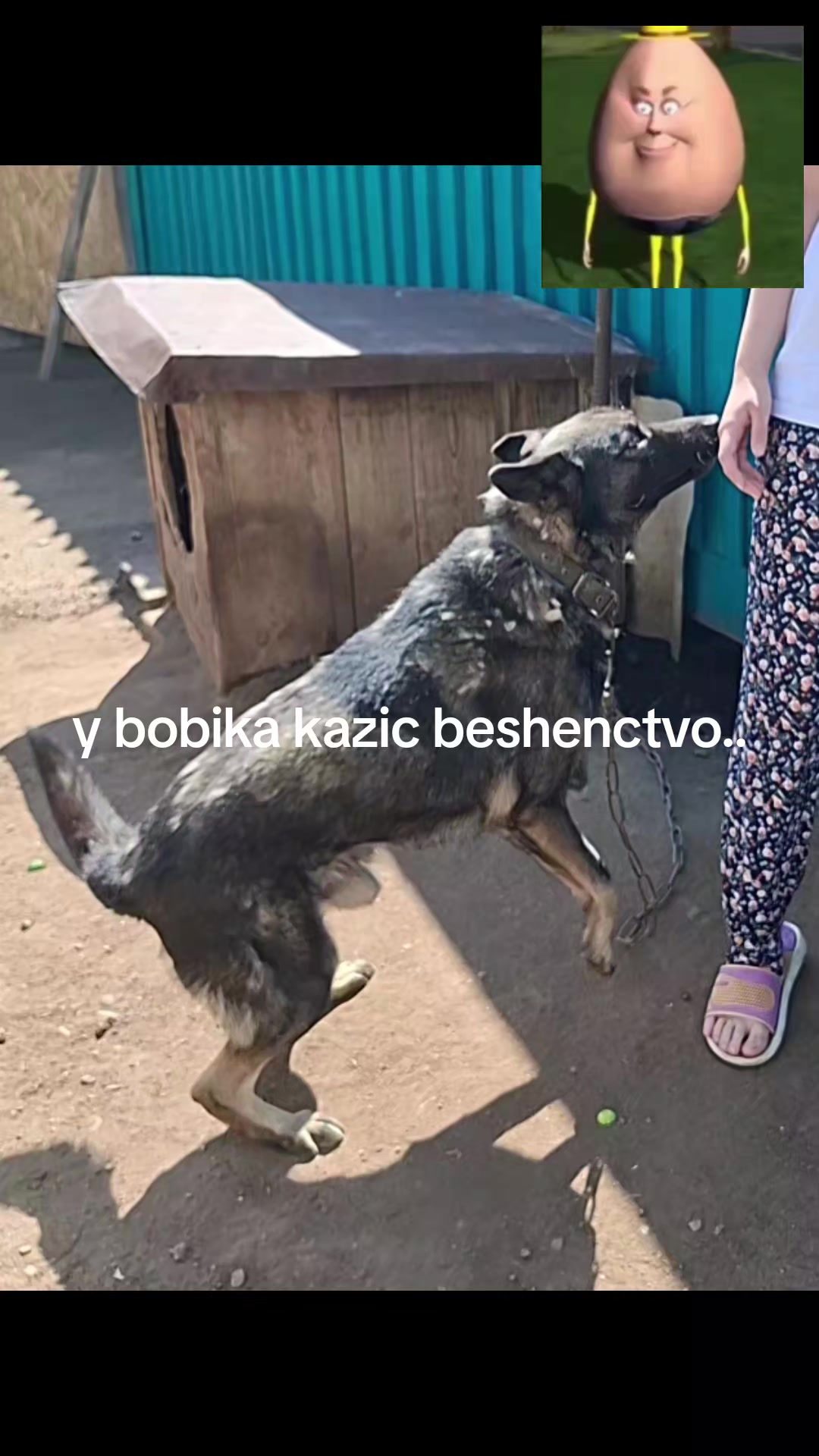 @TREWX