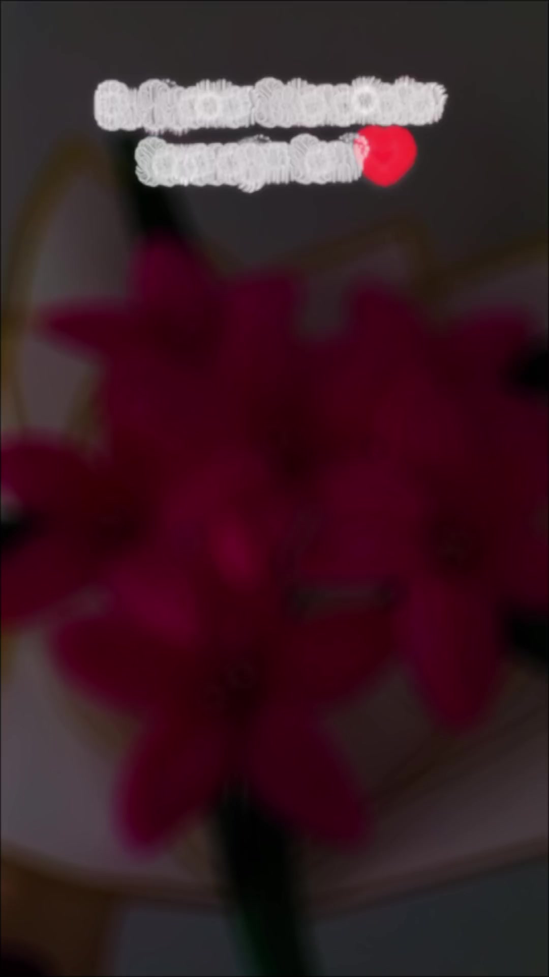 @Şönil Buketim🌷