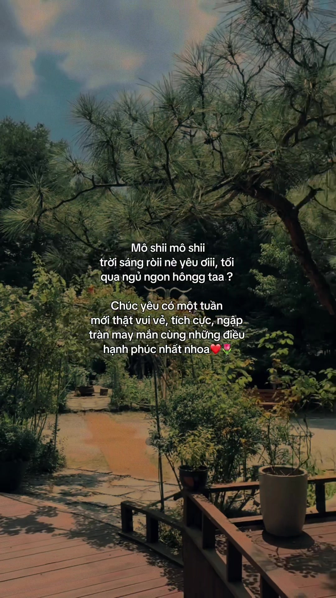 @ᥫᩣѕυy мộт cнúт౨ৎ