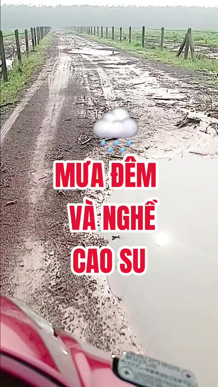 @Tạp h&oacute;a Khang Khang