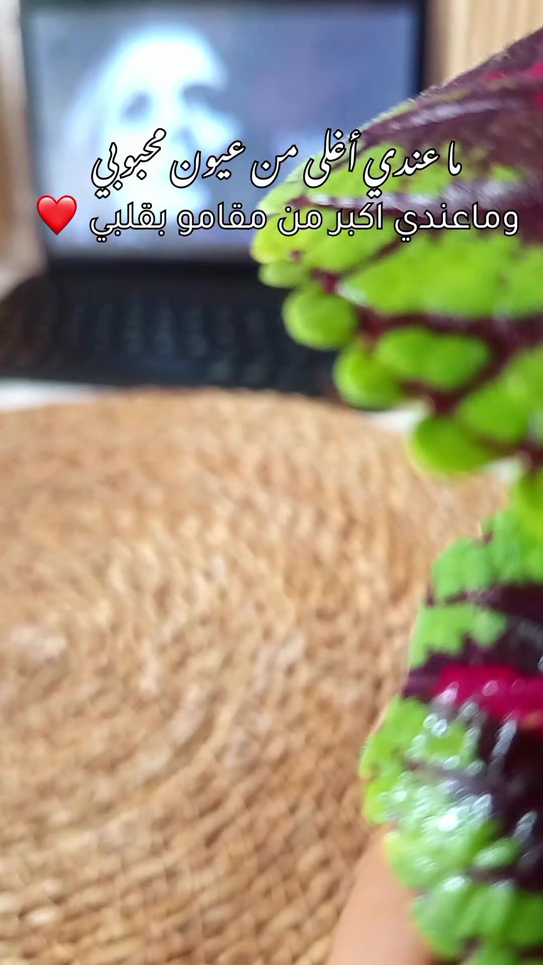 @🦢וٓࡅ࡙ߺܘ߳ _𝒂𝒚𝒂♡