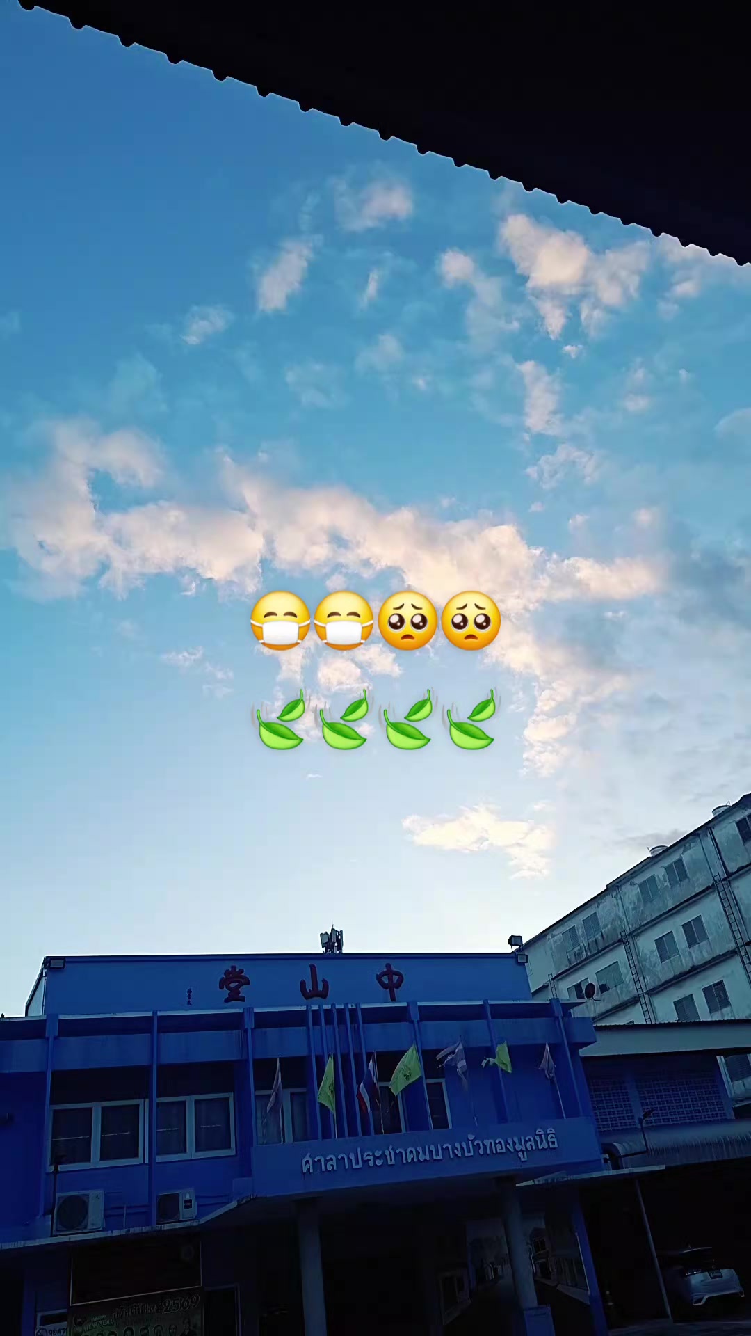 @เหล่าซือเจน🌙✨ 李婉晴老师