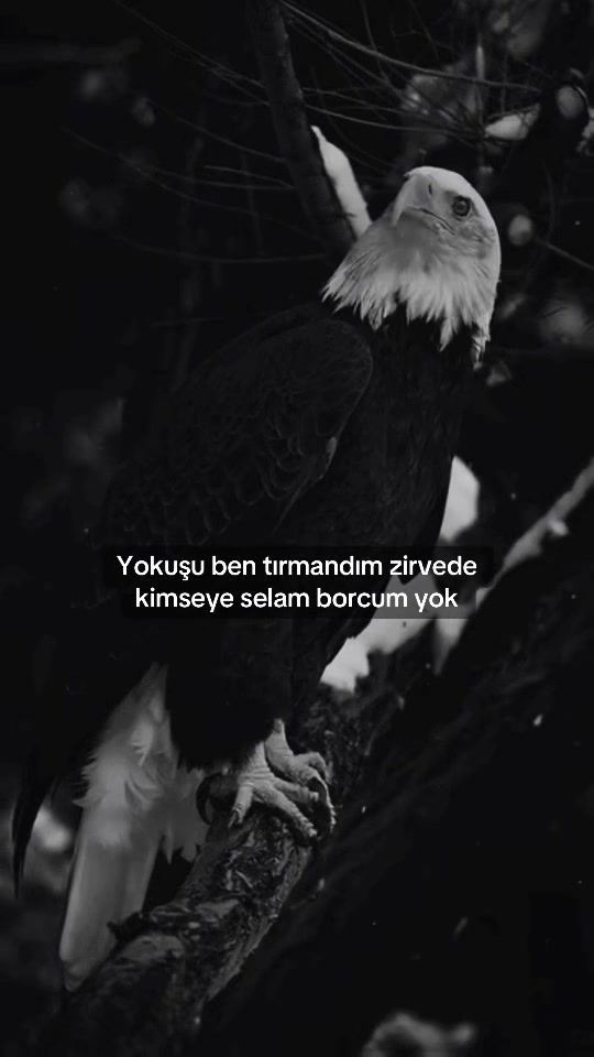 @çılgın 🚴♂️🧿