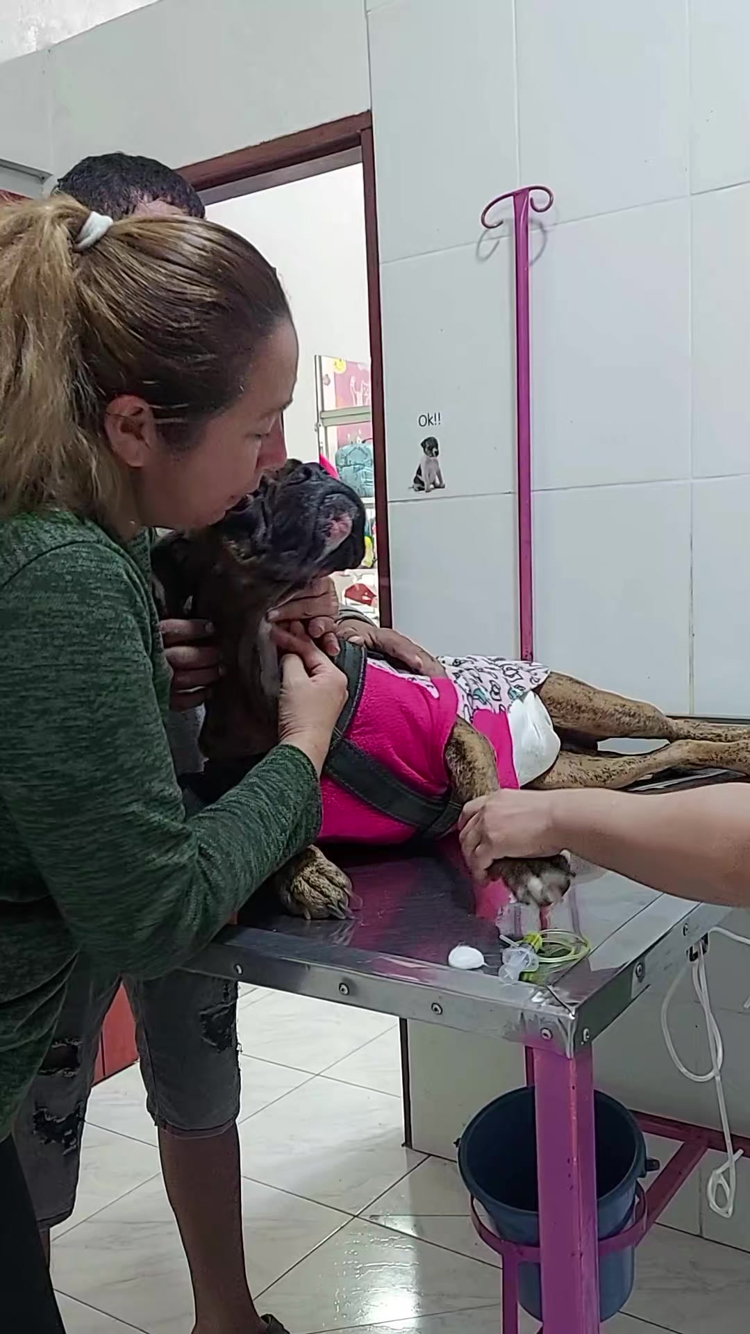 @VETERINARIA VET CENTER 💜