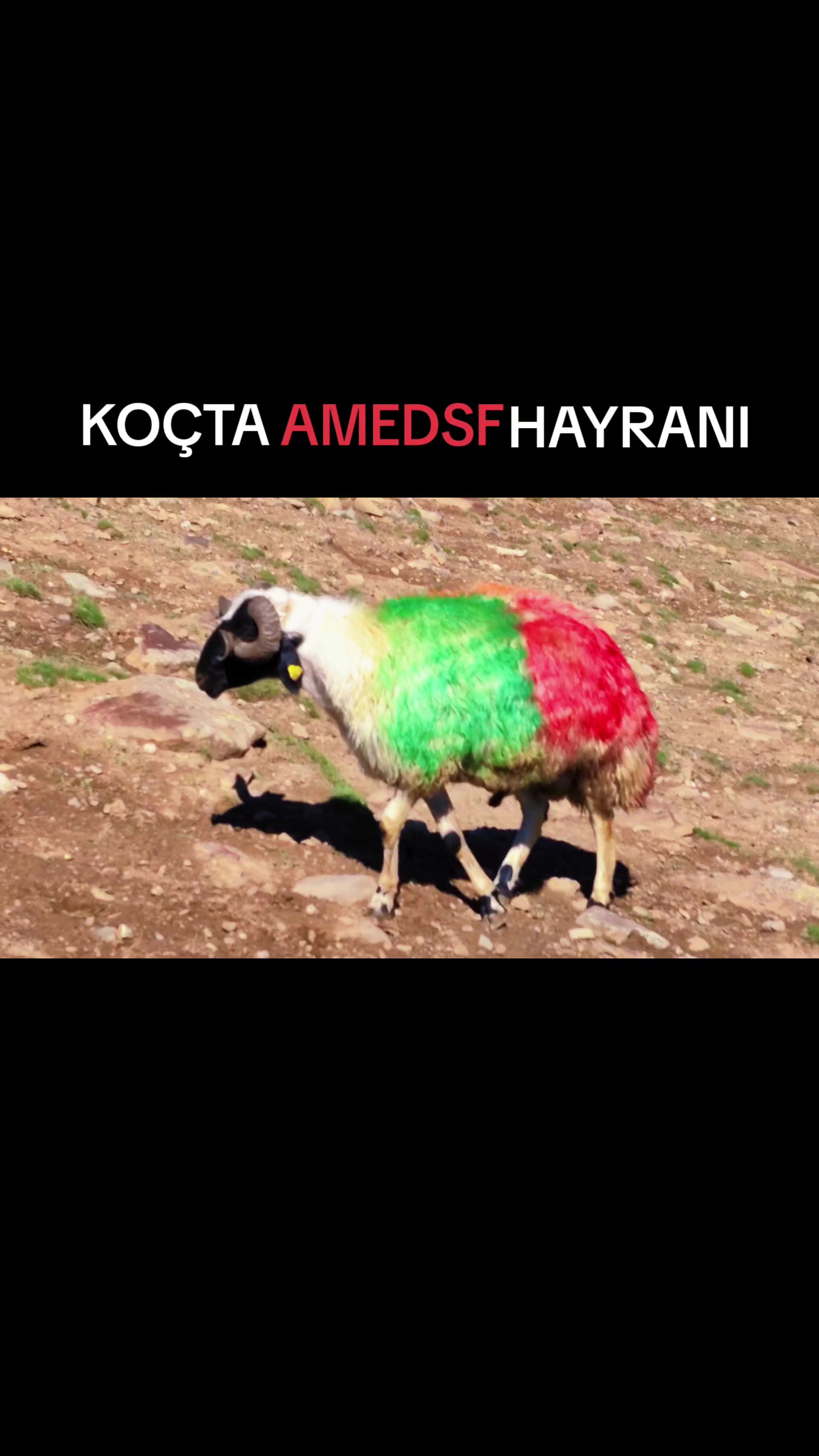 @Emrah Karapınar
