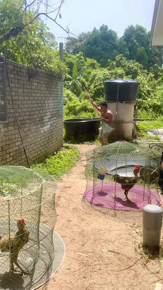 @mat din farm(GMF)