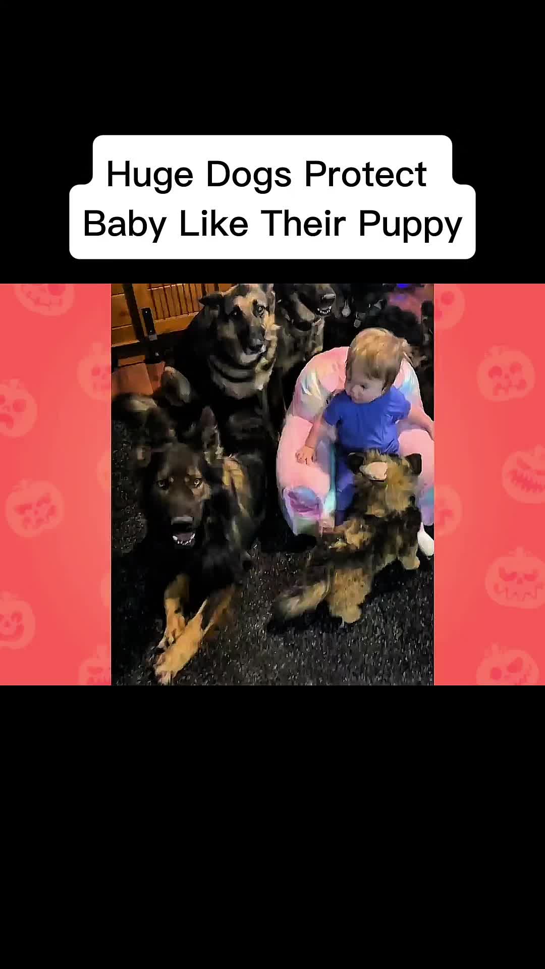 @cddle_buddies_channel
