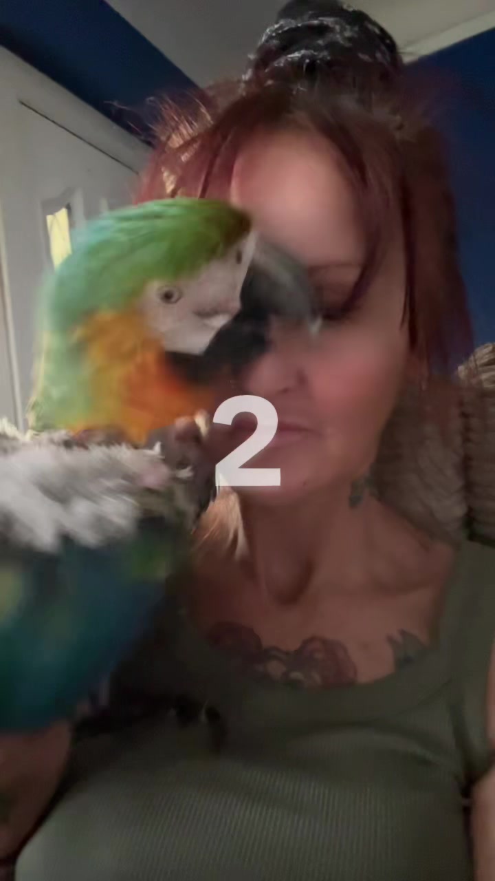 @kerryandrocky🦜