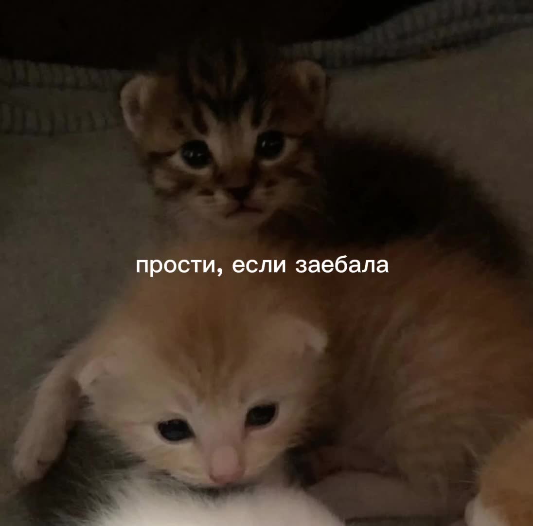 @вечная пустота