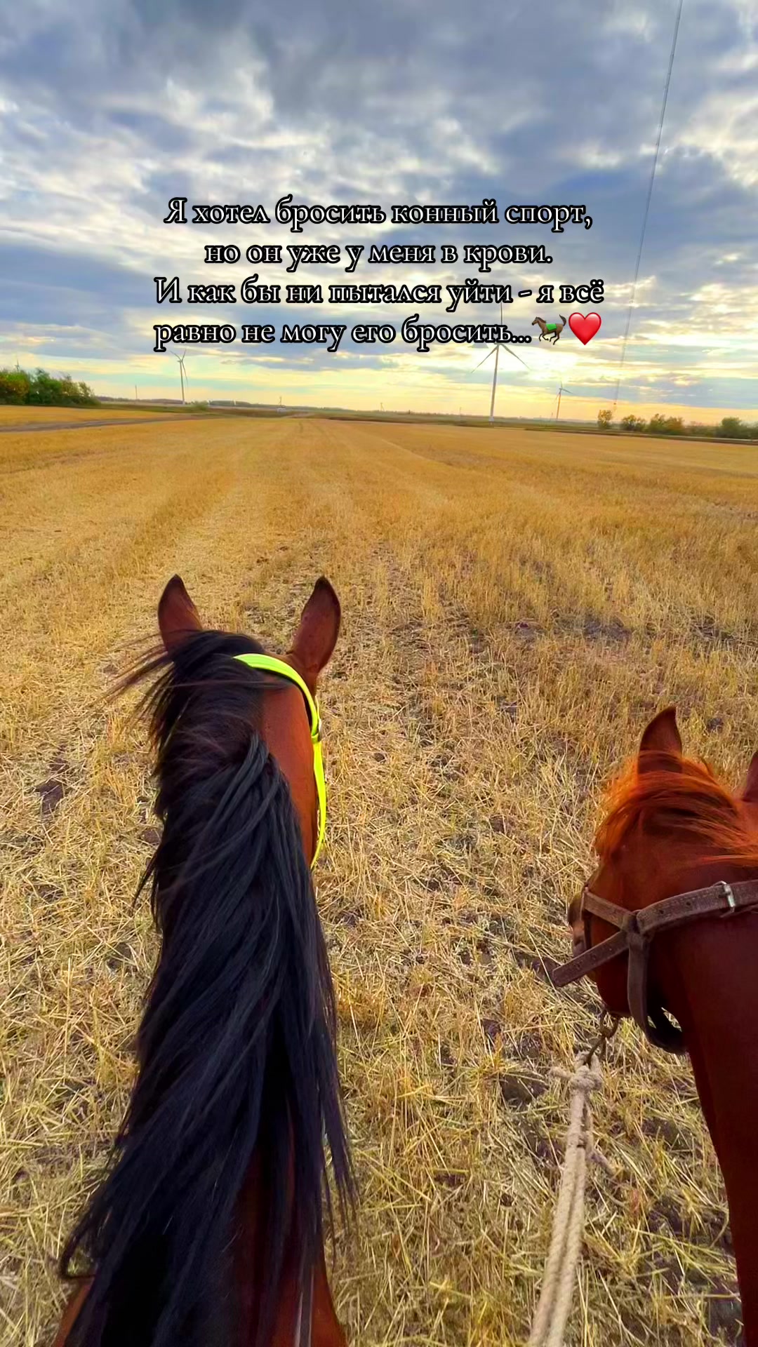 @🐎❤️
