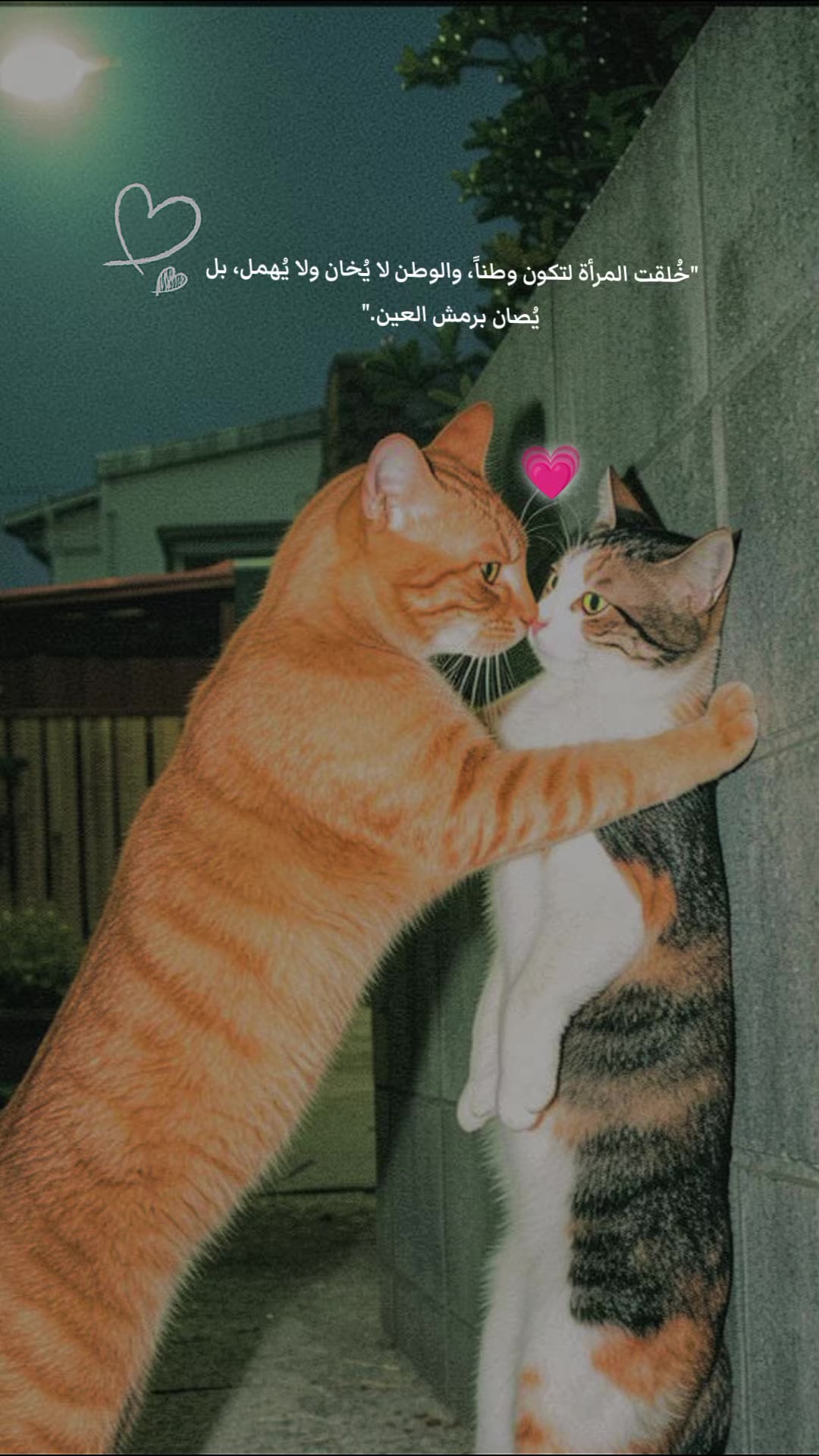 @ᰔᩚ៰࣪