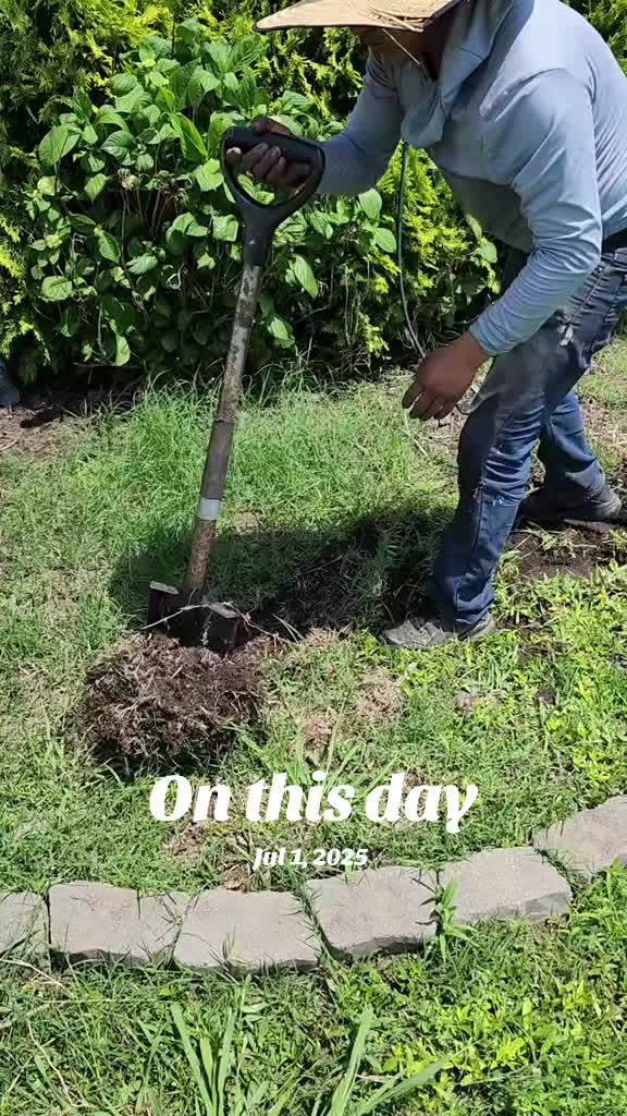 @hdez lawncare