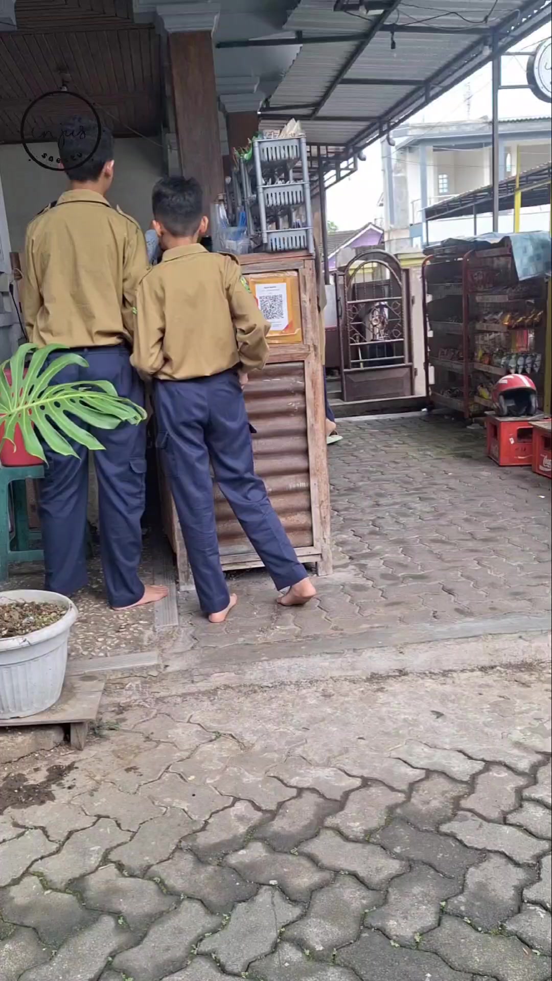 @injus.saestu