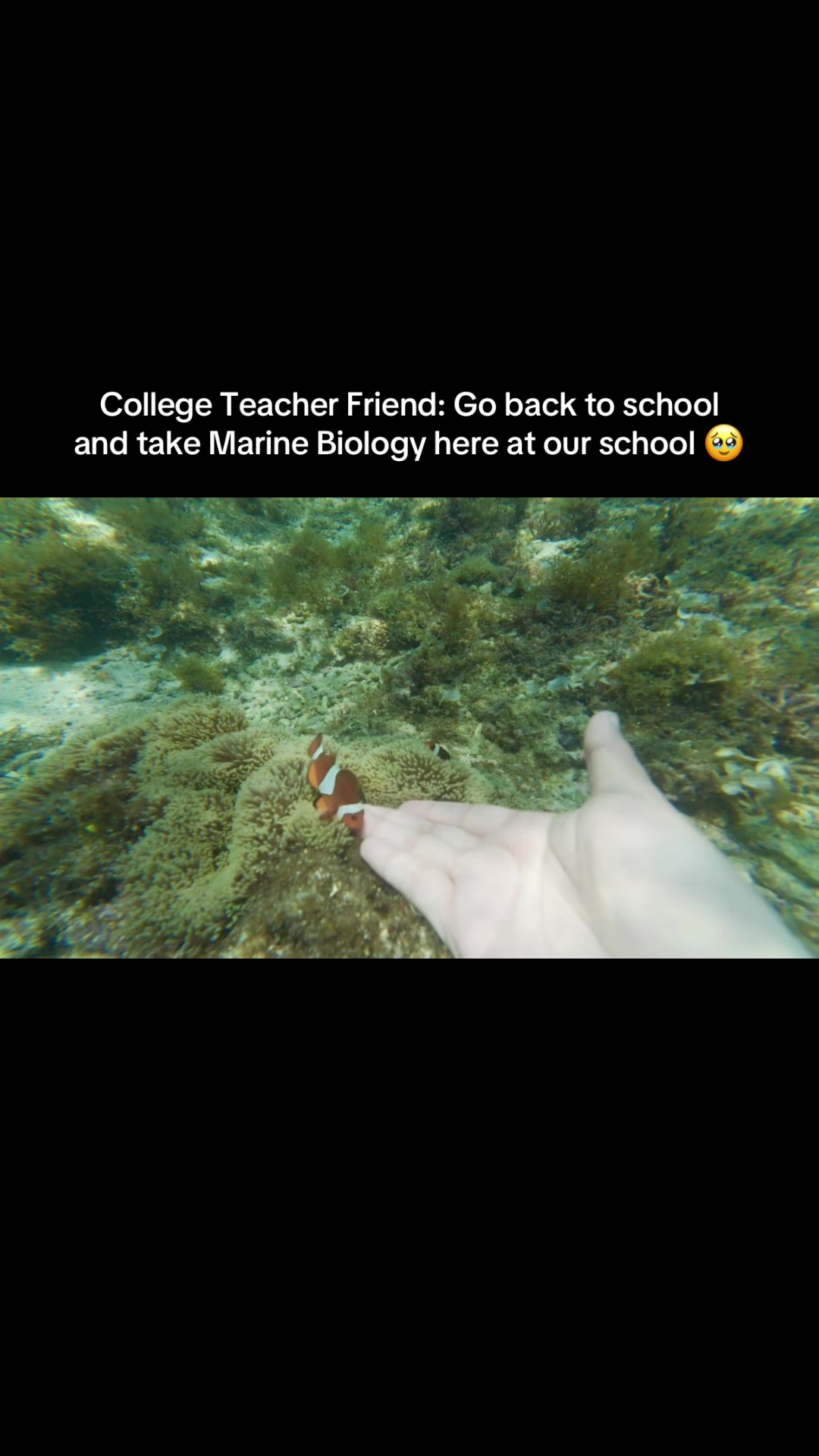 @Chymms
