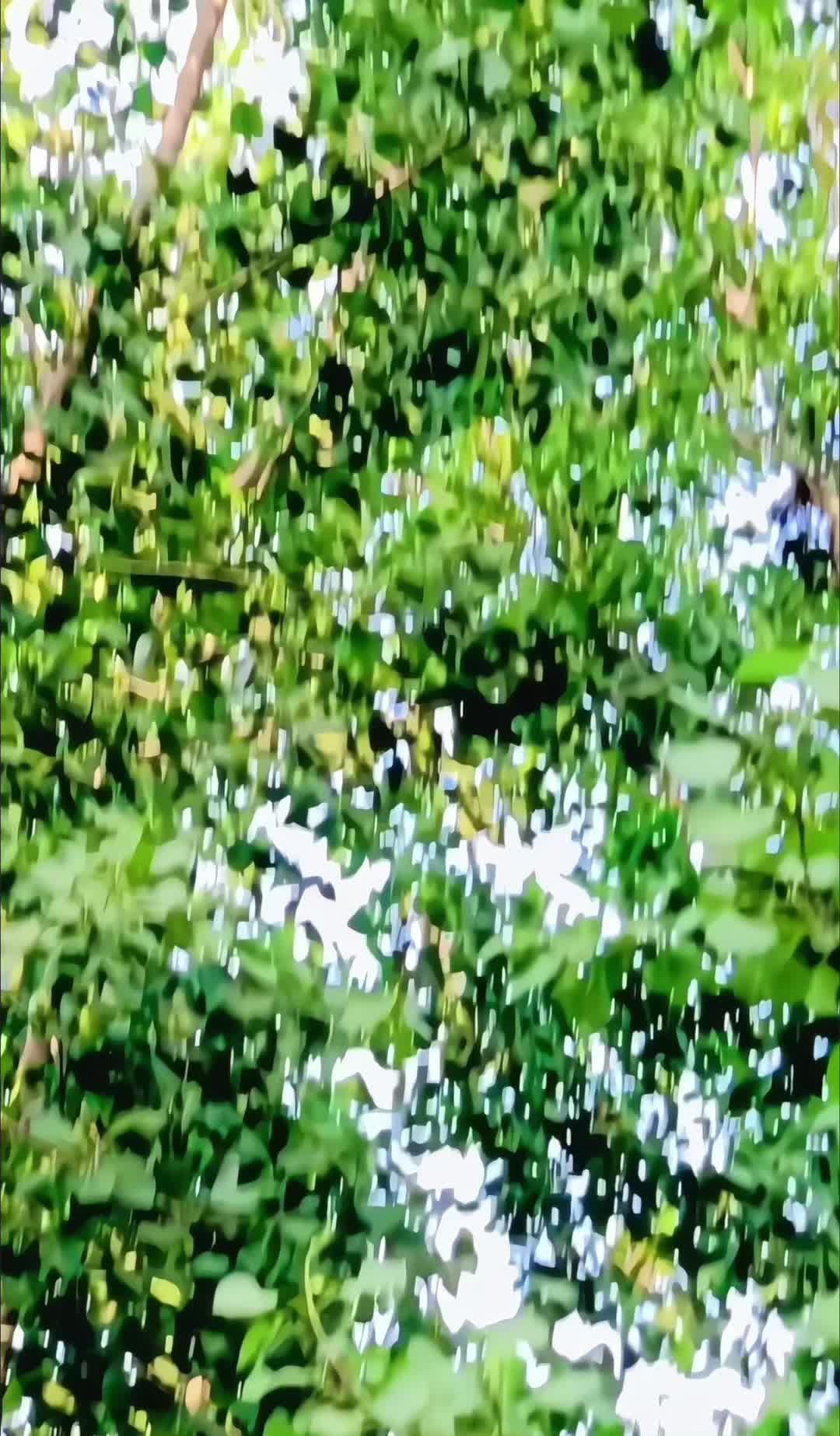 @👑علی اینڈ ملک 👑
