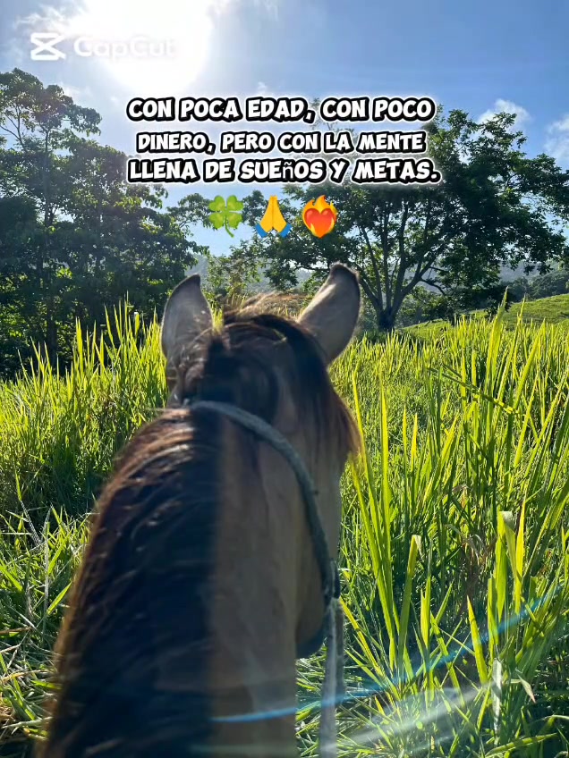 @Puras_letras