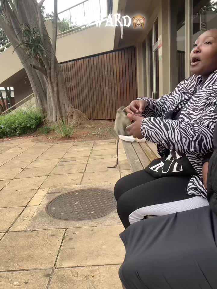 @mamtimande130