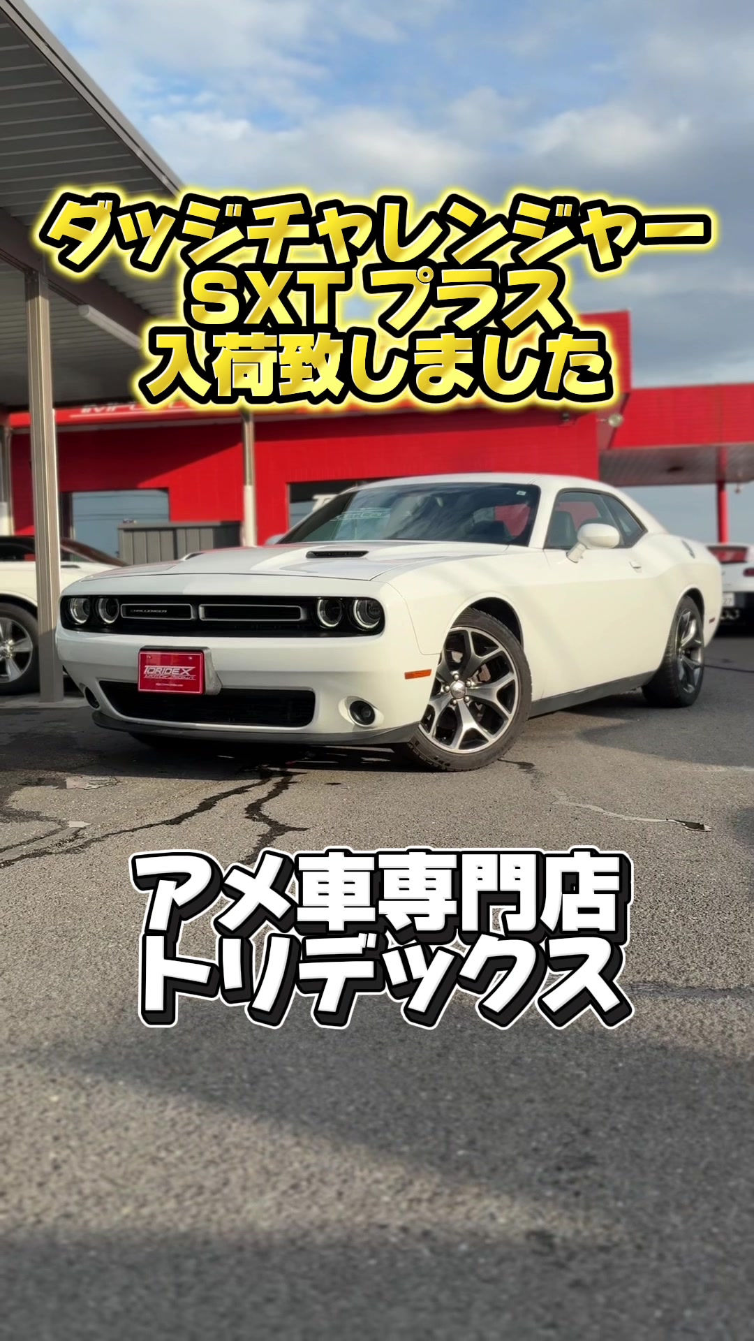 @アメ車専門店トリデックス