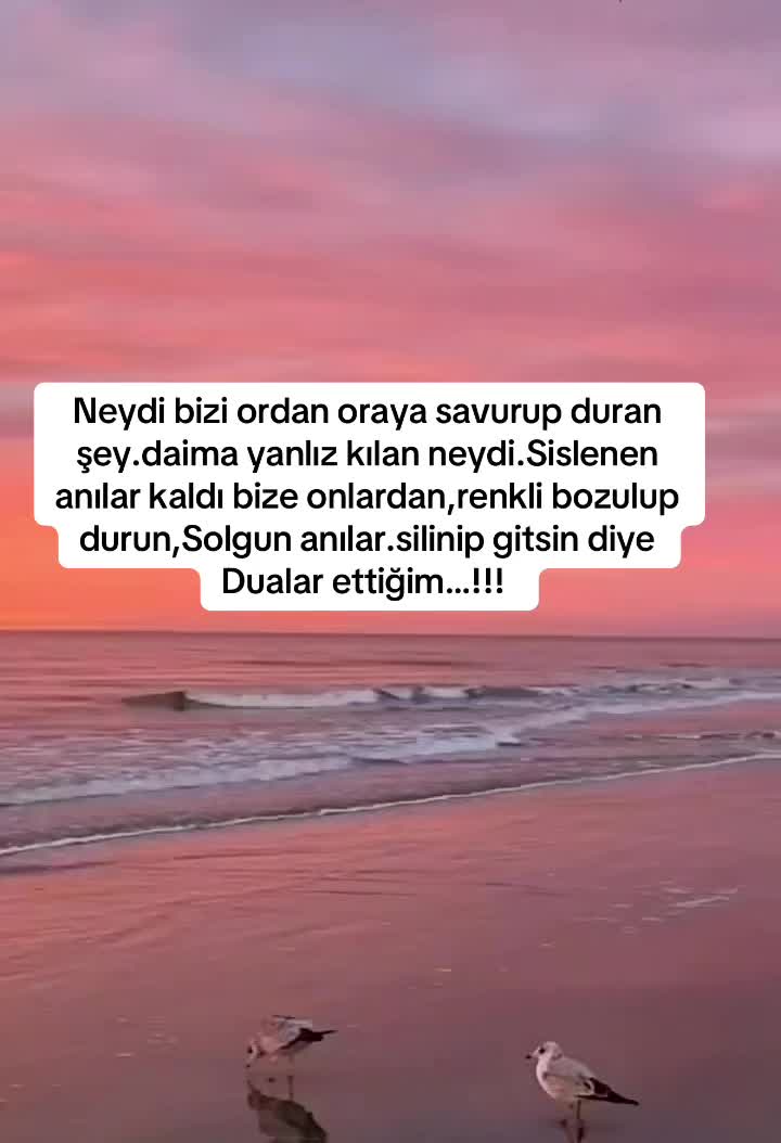 @Buzbeyi