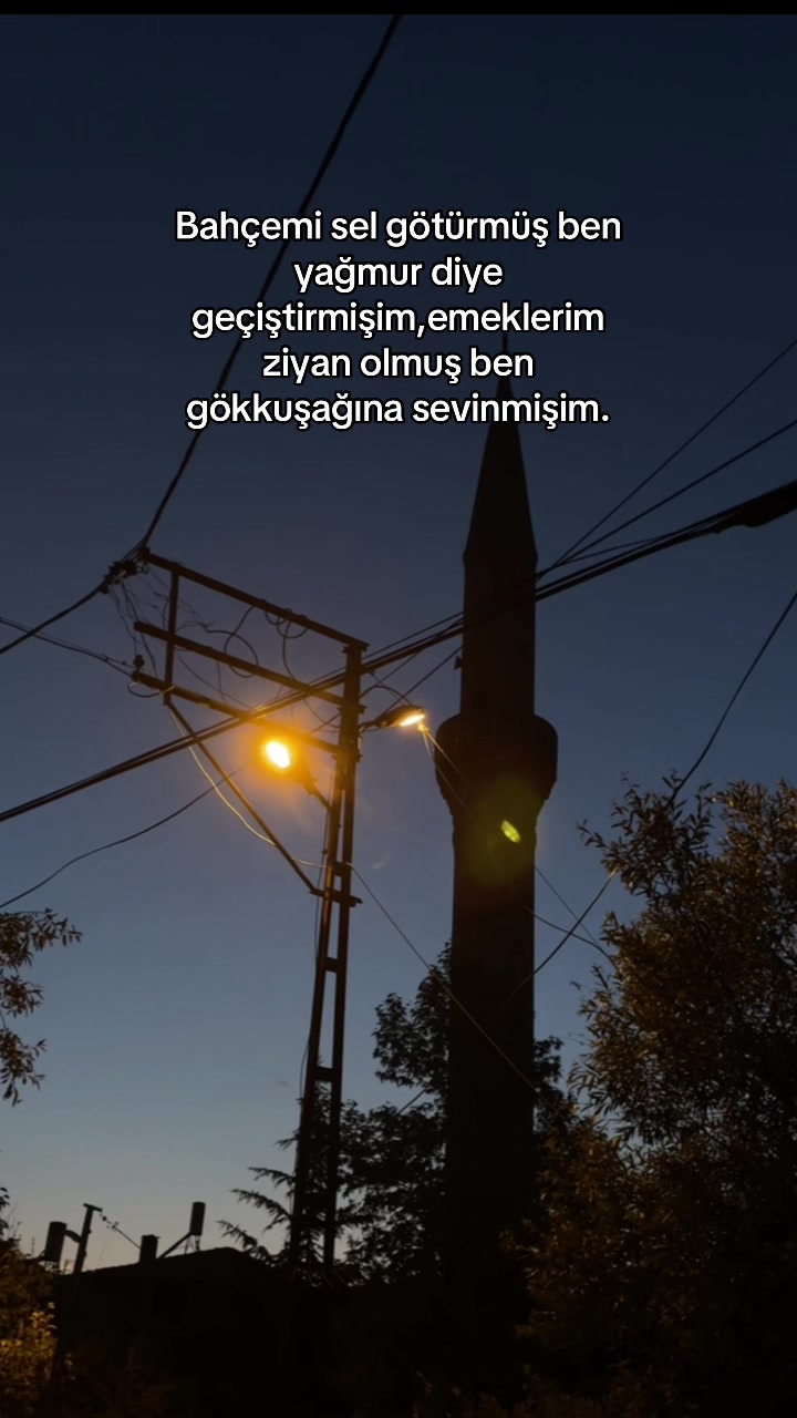 @ℰ𝓁𝓏𝑒𝓂