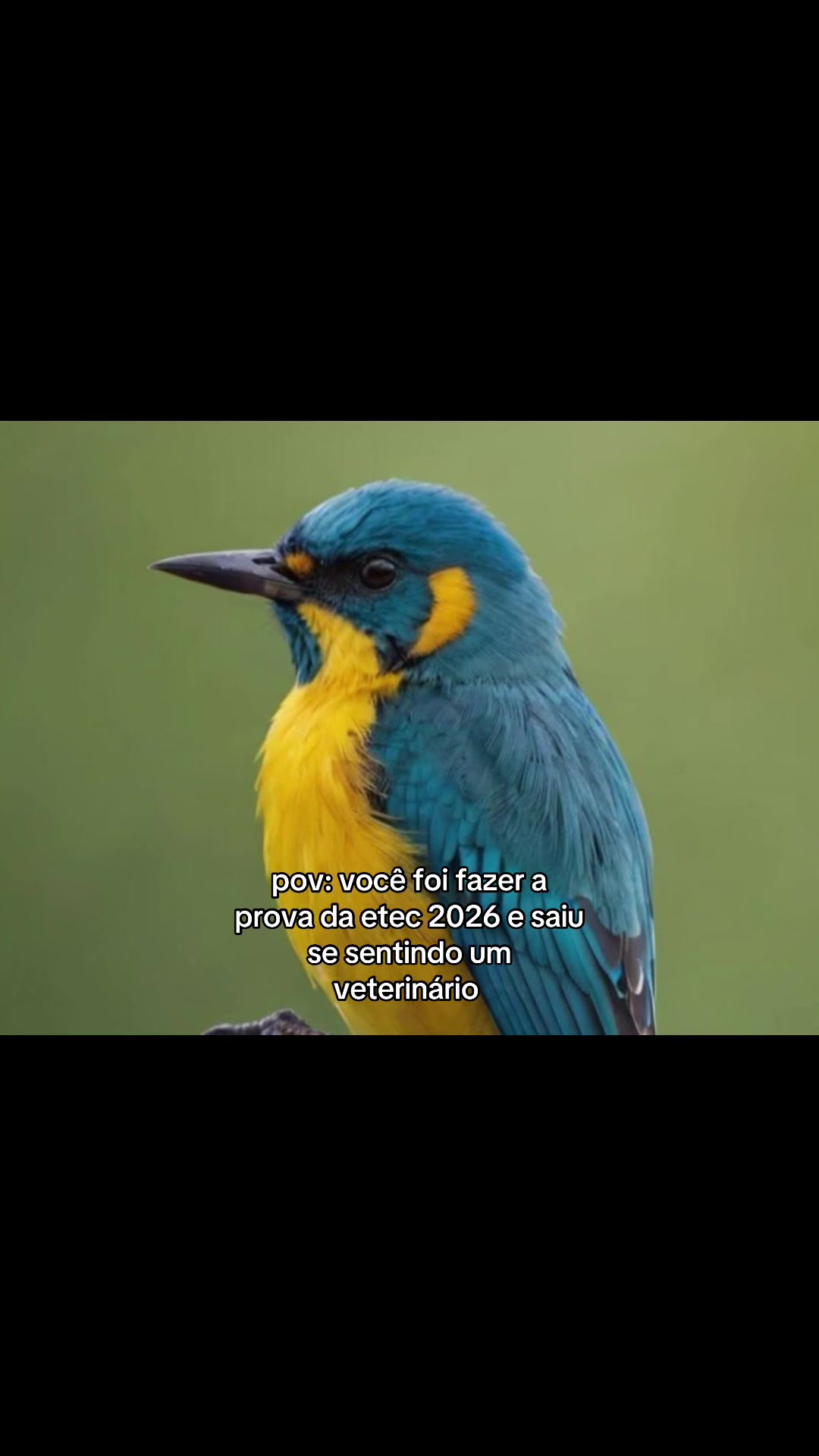 @Kau&ecirc;