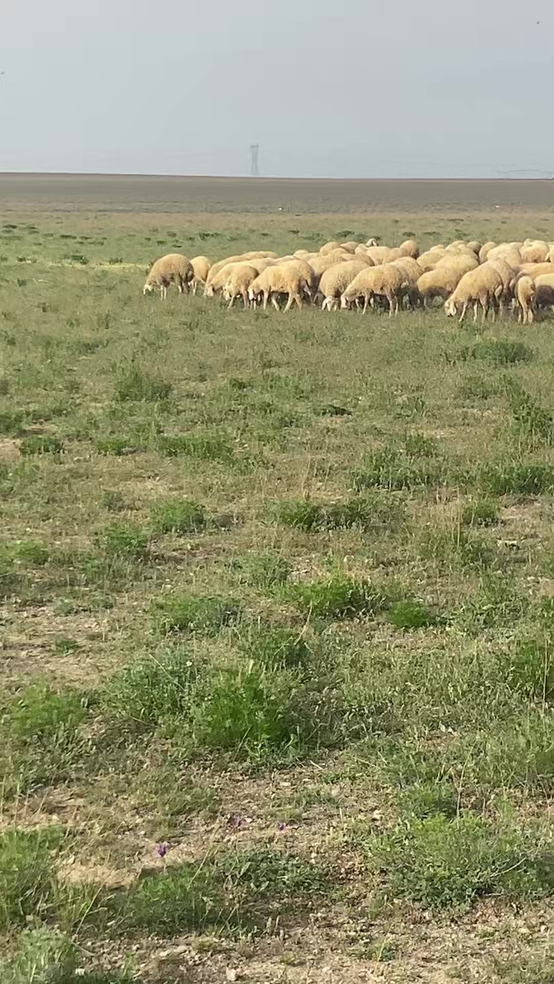 @Süleyman_bdcn