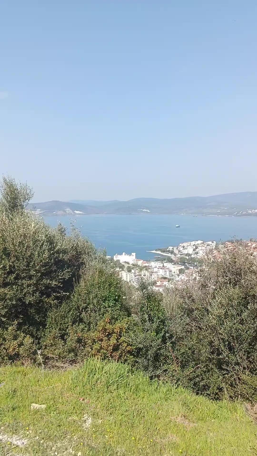 @ahmetdlgkrn