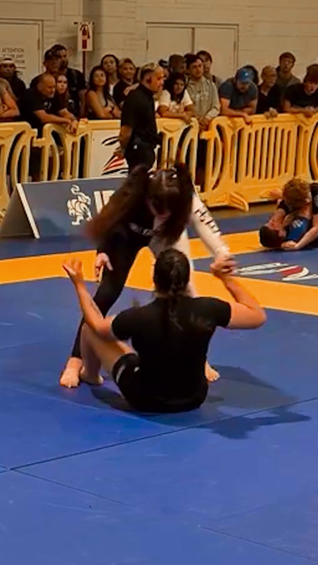 @IBJJF