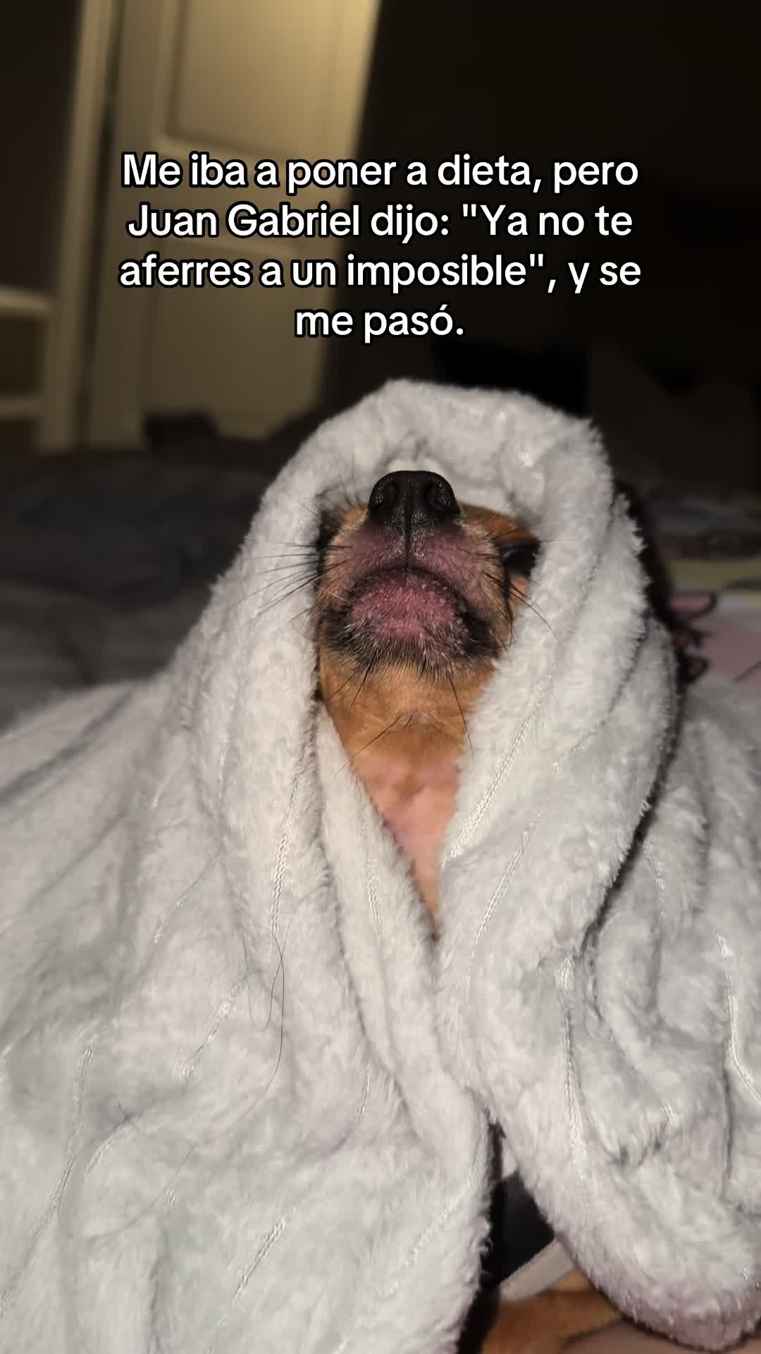 @Gloria Hernandez